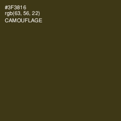 #3F3816 - Camouflage Color Image