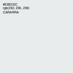 #E8ECEC - Cararra Color Image