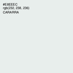#E8EEEC - Cararra Color Image