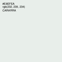 #E8EFEA - Cararra Color Image