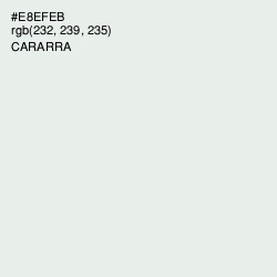 #E8EFEB - Cararra Color Image