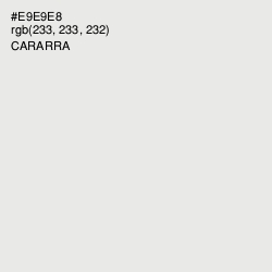 #E9E9E8 - Cararra Color Image