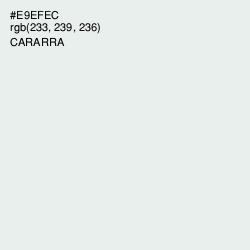 #E9EFEC - Cararra Color Image