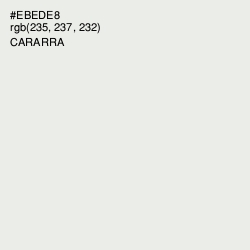 #EBEDE8 - Cararra Color Image