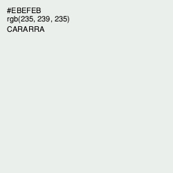 #EBEFEB - Cararra Color Image