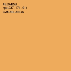 #EDAB5B - Casablanca Color Image
