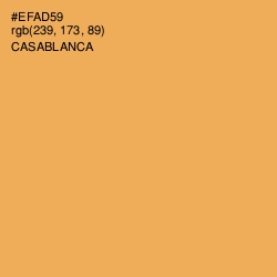 #EFAD59 - Casablanca Color Image