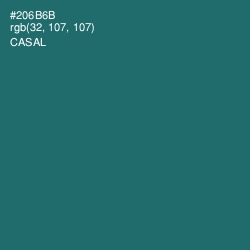 #206B6B - Casal Color Image