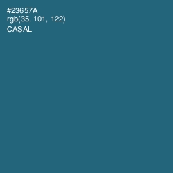 #23657A - Casal Color Image