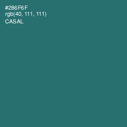 #286F6F - Casal Color Image