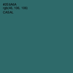 #2E6A6A - Casal Color Image