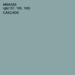 #89A5A5 - Cascade Color Image