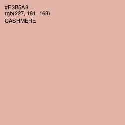 #E3B5A8 - Cashmere Color Image