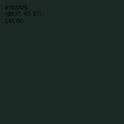 #1B2A25 - Celtic Color Image
