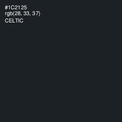 #1C2125 - Celtic Color Image