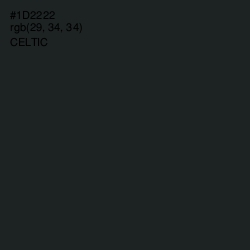 #1D2222 - Celtic Color Image