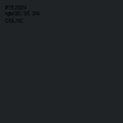 #1E2324 - Celtic Color Image