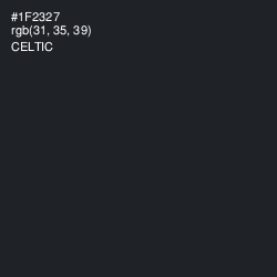 #1F2327 - Celtic Color Image