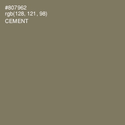 #807962 - Cement Color Image
