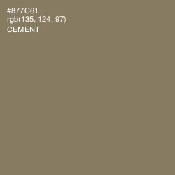 #877C61 - Cement Color Image