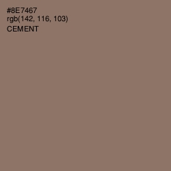 #8E7467 - Cement Color Image