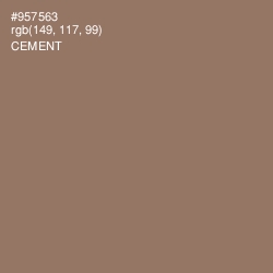 #957563 - Cement Color Image
