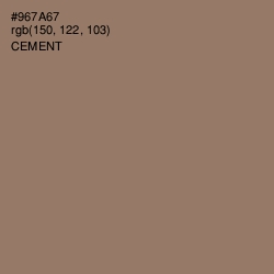 #967A67 - Cement Color Image