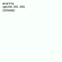 #F9FFFA - Ceramic Color Image