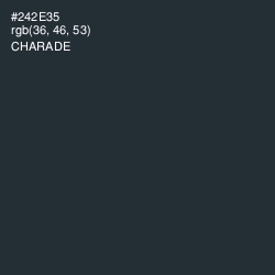 #242E35 - Charade Color Image