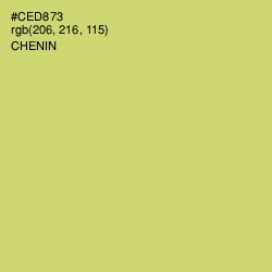 #CED873 - Chenin Color Image