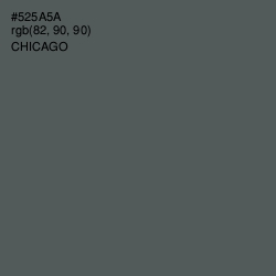 #525A5A - Chicago Color Image