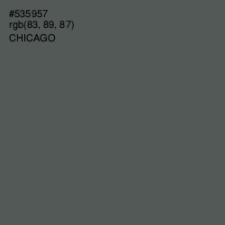 #535957 - Chicago Color Image