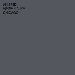 #54575D - Chicago Color Image