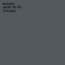 #54585D - Chicago Color Image