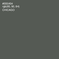 #555A54 - Chicago Color Image