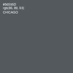 #56595D - Chicago Color Image