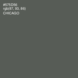 #575D56 - Chicago Color Image