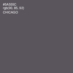 #5A555C - Chicago Color Image