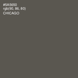 #5A5650 - Chicago Color Image