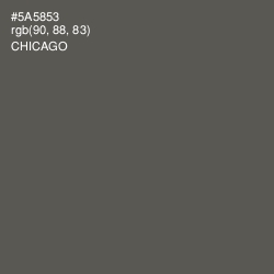 #5A5853 - Chicago Color Image
