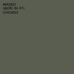 #5A5E51 - Chicago Color Image