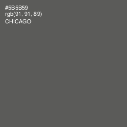 #5B5B59 - Chicago Color Image
