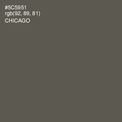 #5C5951 - Chicago Color Image