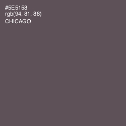 #5E5158 - Chicago Color Image