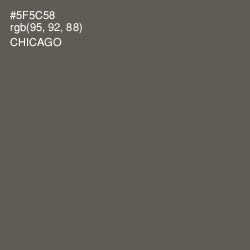 #5F5C58 - Chicago Color Image