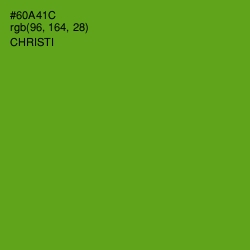 #60A41C - Christi Color Image