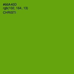 #66A40D - Christi Color Image