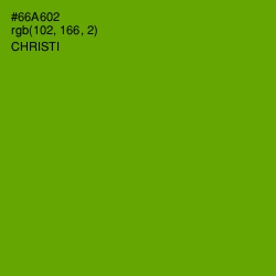 #66A602 - Christi Color Image