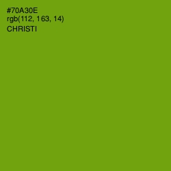 #70A30E - Christi Color Image