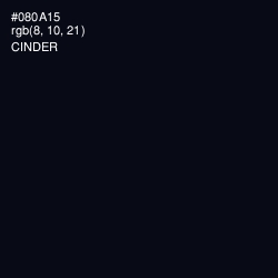 #080A15 - Cinder Color Image